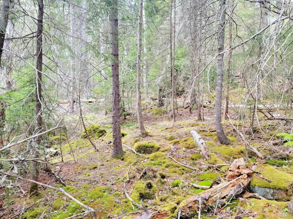 Lot # 72 Oceanville Road Stonington ME 04681