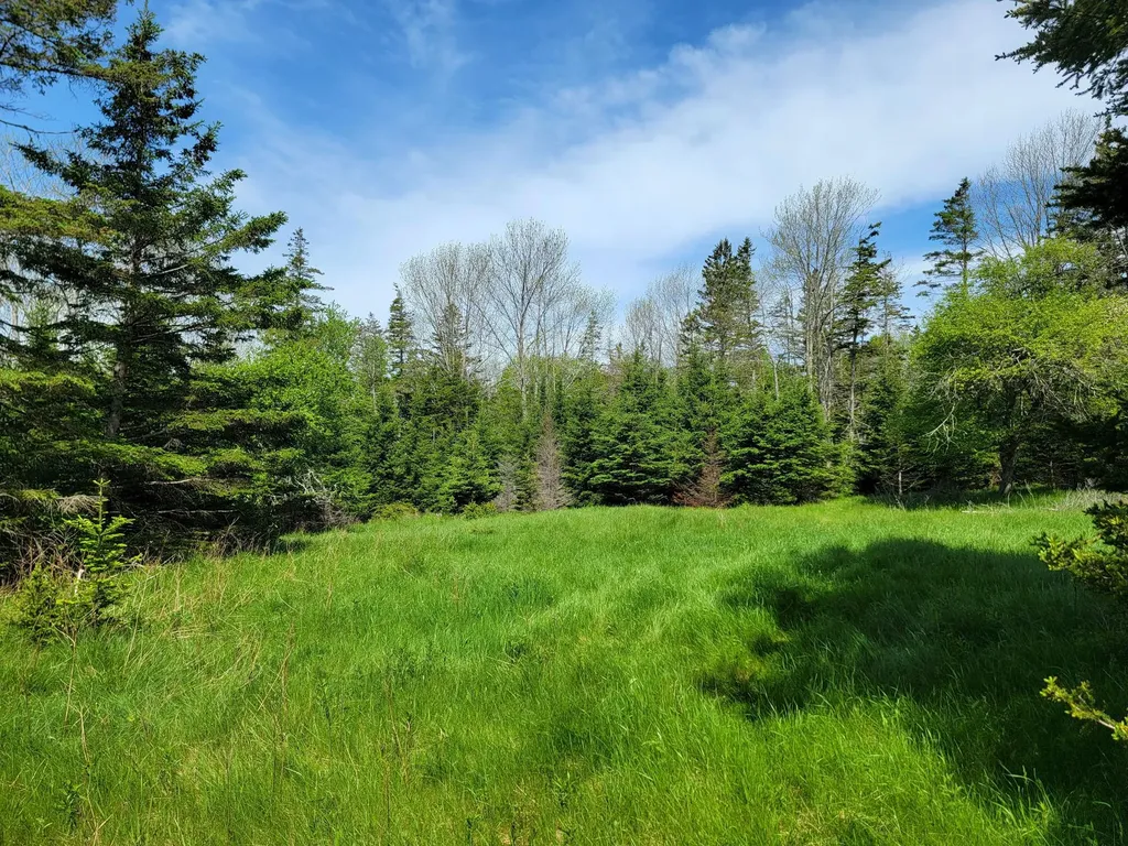 Lot # 72 Oceanville Road Stonington ME 04681