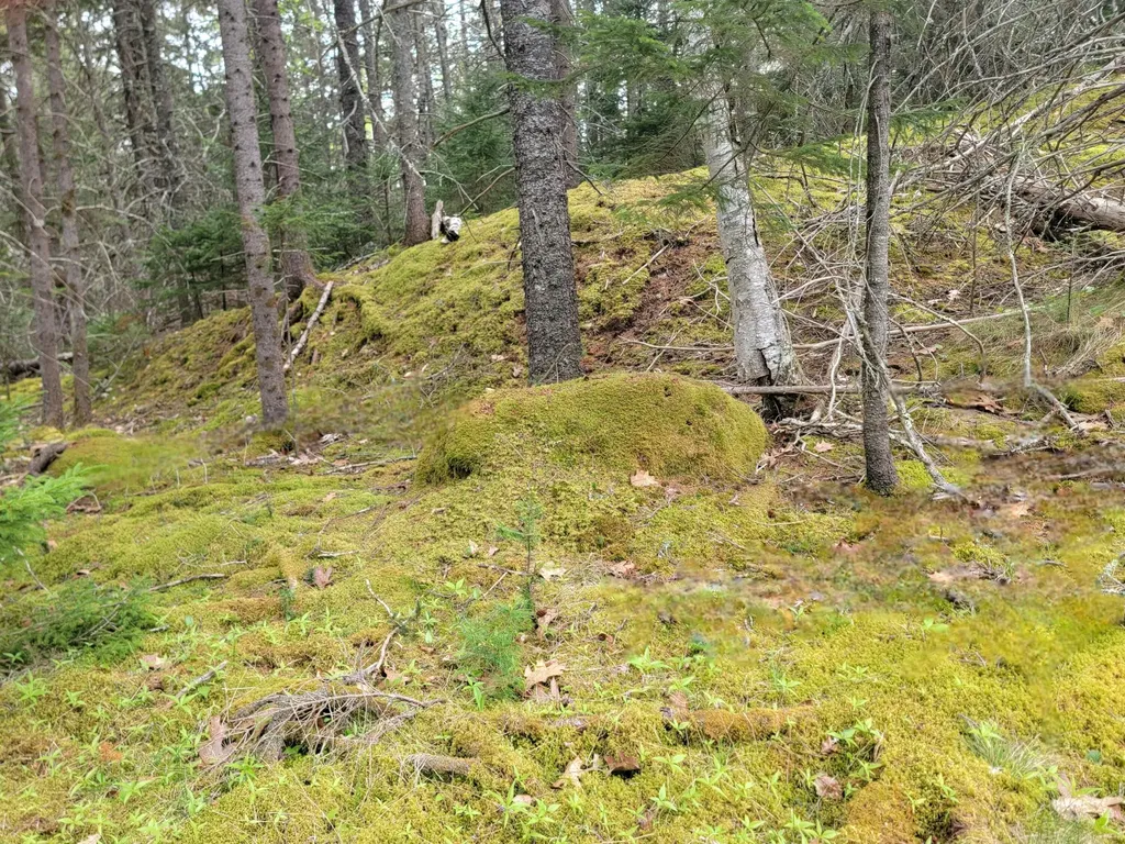 Lot # 72 Oceanville Road Stonington ME 04681