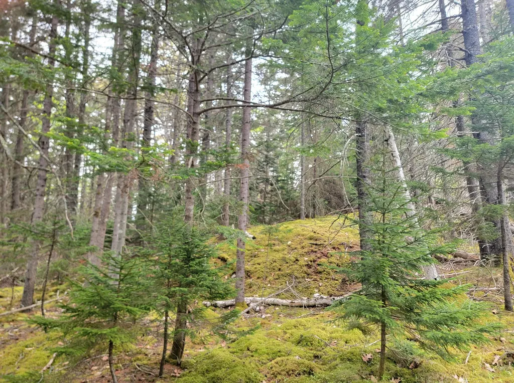 Lot # 72 Oceanville Road Stonington ME 04681