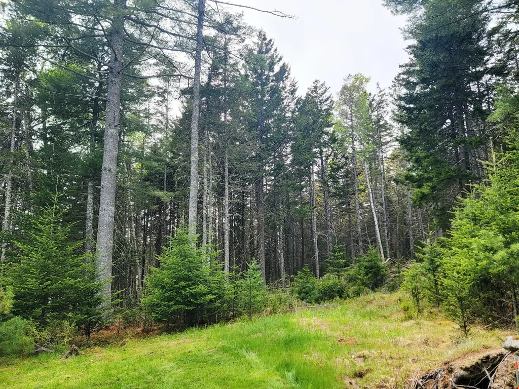 Lot # 72 Oceanville Road Stonington ME 04681