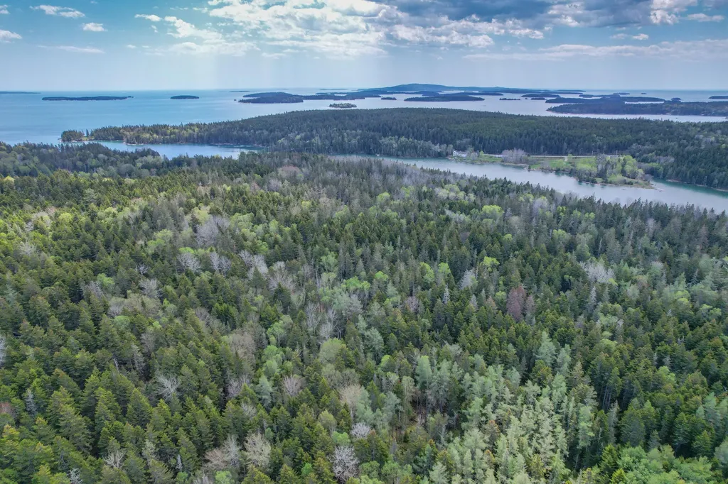 Lot # 72 Oceanville Road Stonington ME 04681