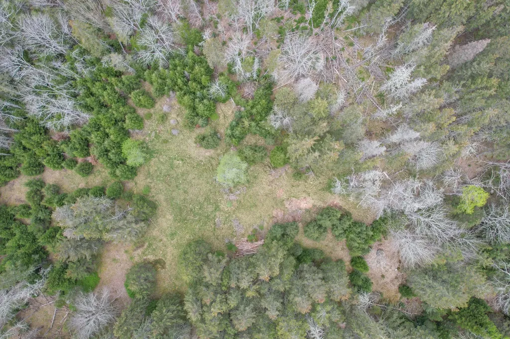Lot # 72 Oceanville Road Stonington ME 04681