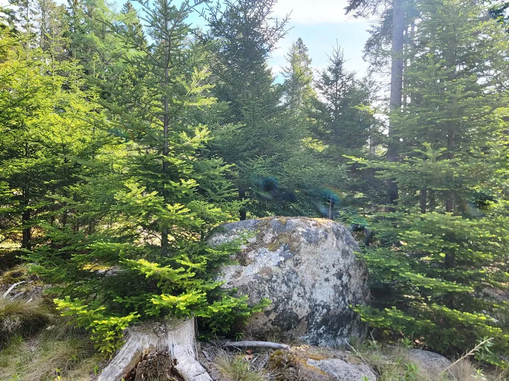 Lot # 72 Oceanville Road Stonington ME 04681