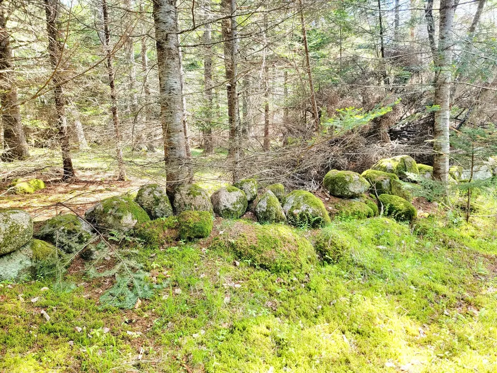 Lot # 72 Oceanville Road Stonington ME 04681