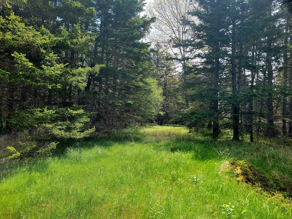 Lot # 72 Oceanville Road Stonington ME 04681
