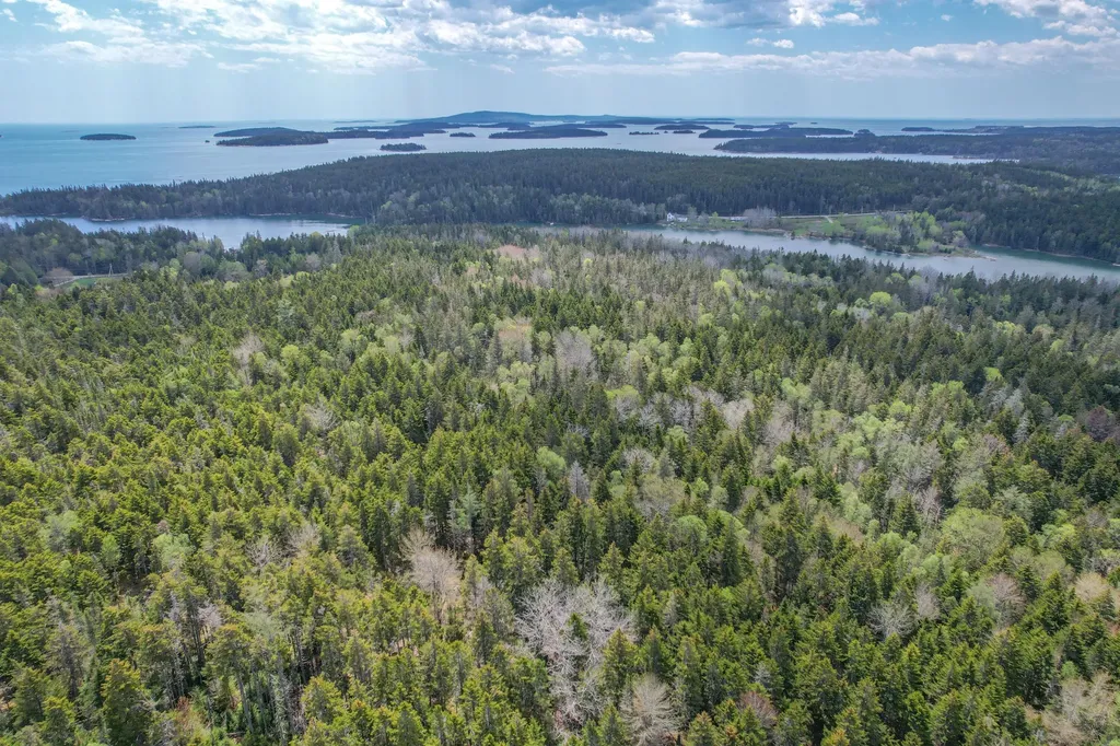 Lot # 72 Oceanville Road Stonington ME 04681