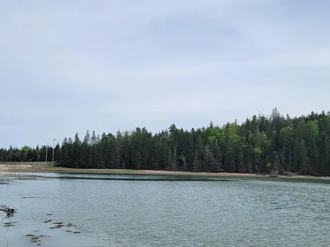 Lot # 72 Oceanville Road Stonington ME 04681