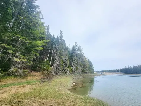Lot # 72 Oceanville Road Stonington ME 04681