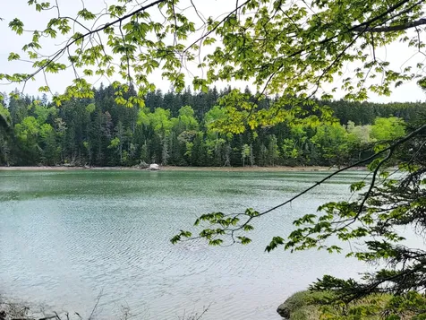 Lot # 72 Oceanville Road Stonington ME 04681