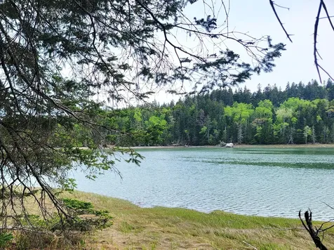 Lot # 72 Oceanville Road Stonington ME 04681