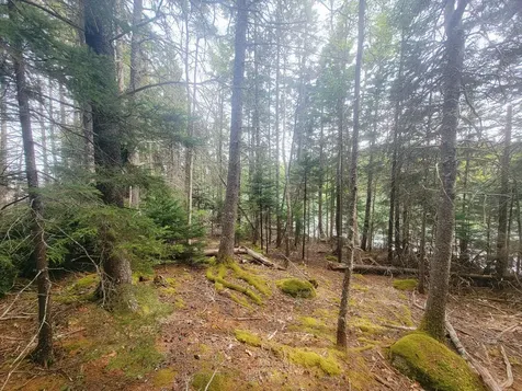 Lot # 72 Oceanville Road Stonington ME 04681