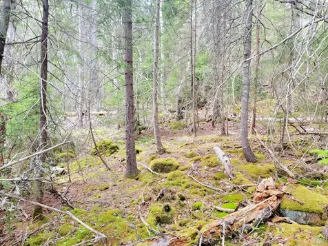Lot # 72 Oceanville Road Stonington ME 04681