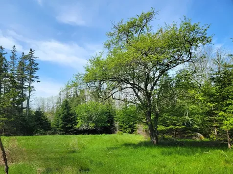 Lot # 72 Oceanville Road Stonington ME 04681