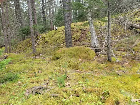 Lot # 72 Oceanville Road Stonington ME 04681