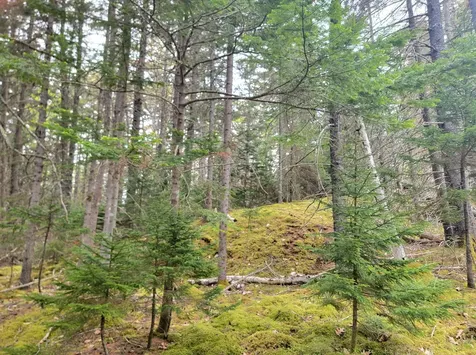 Lot # 72 Oceanville Road Stonington ME 04681