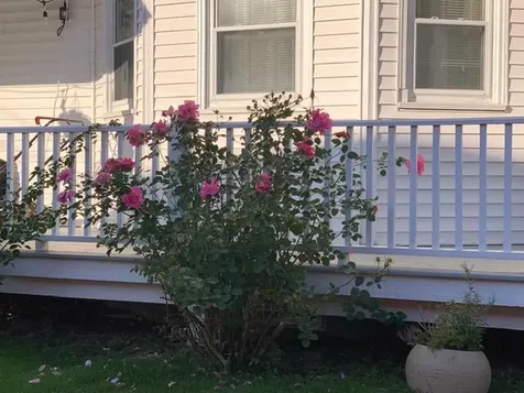 79 Park Street Rockland ME 04841