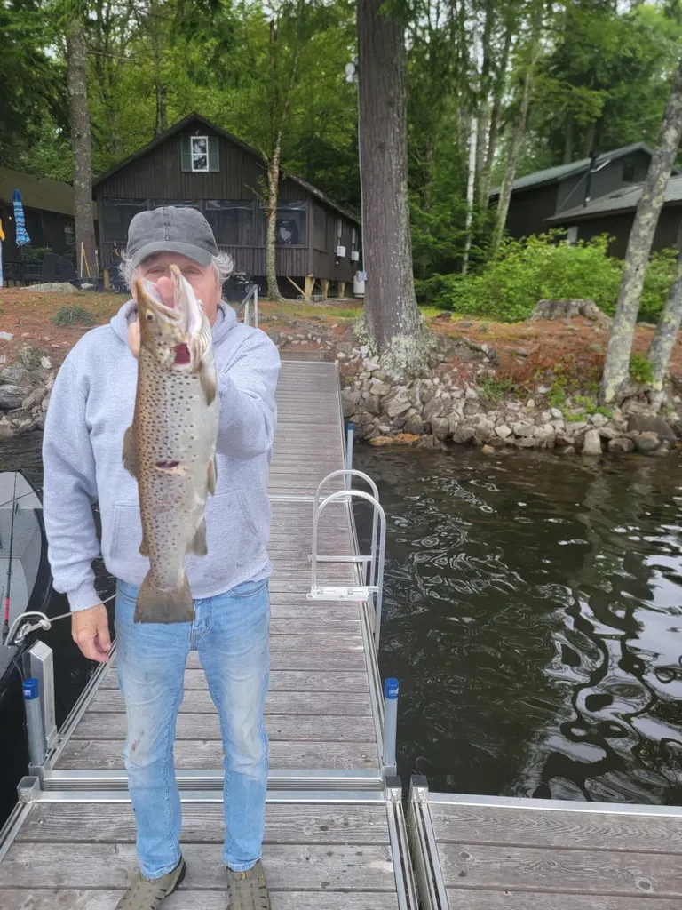 45 Cedar Camp Road Belgrade ME 04917
