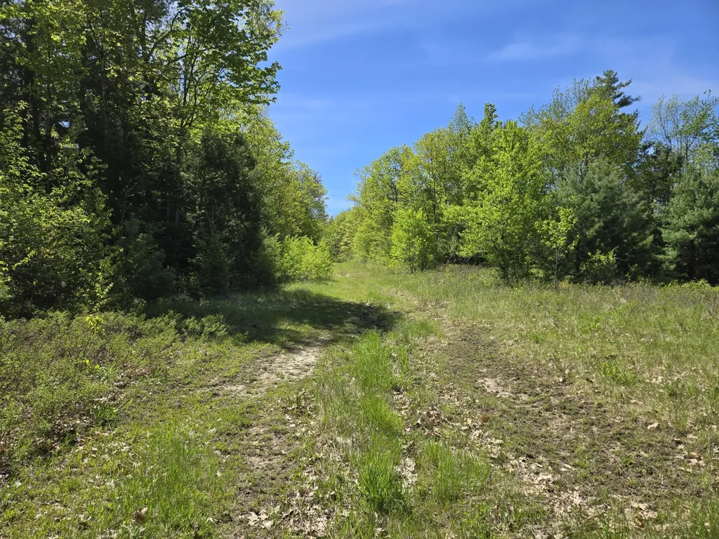 250 Drews Mills Road Biddeford ME 04046