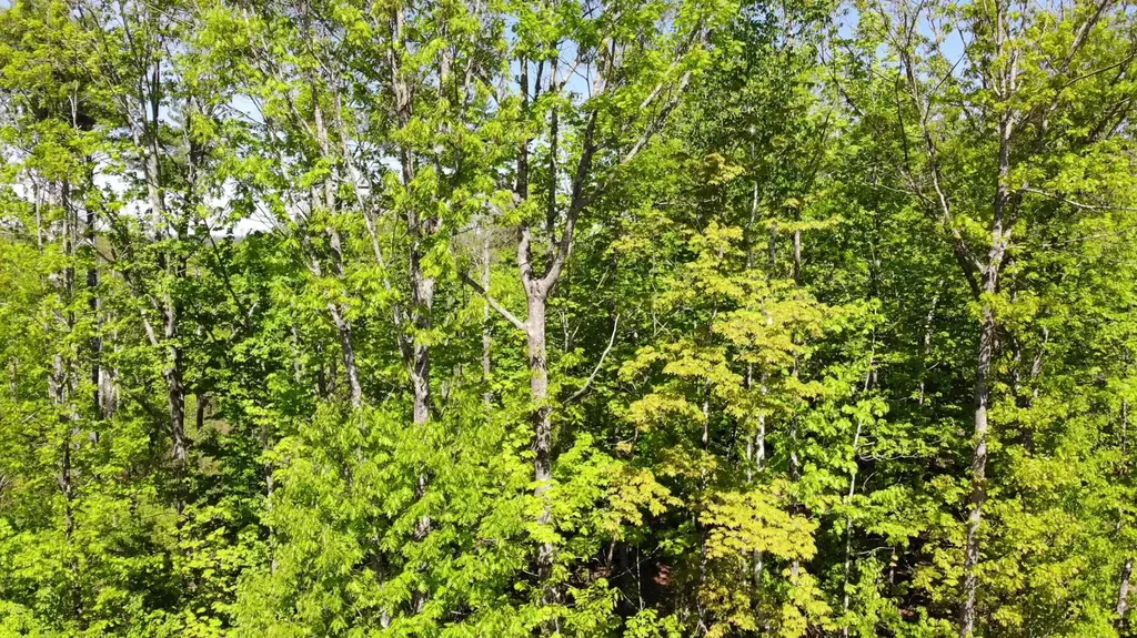 250 Drews Mills Road Biddeford ME 04046