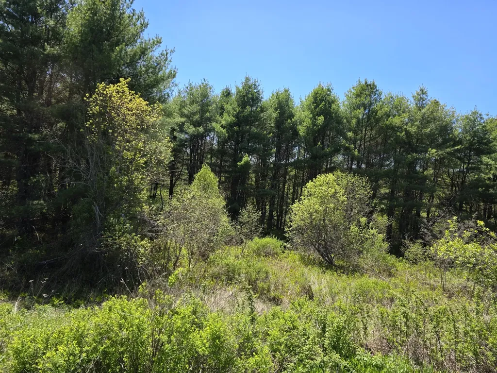 4 Goose River Estates Swanville ME 04915