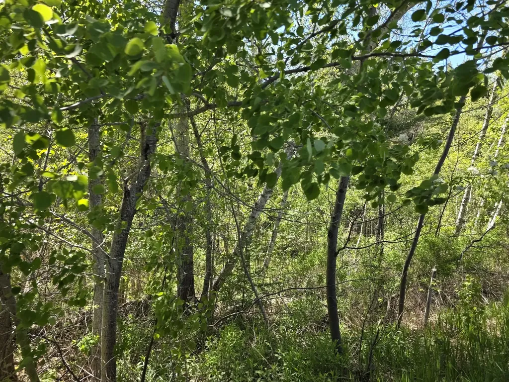 4 Goose River Estates Swanville ME 04915