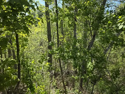 4 Goose River Estates Swanville ME 04915