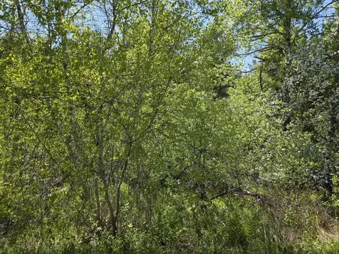 4 Goose River Estates Swanville ME 04915