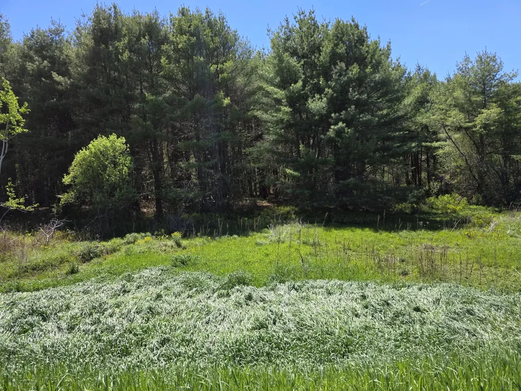 5 Goose River Estates Swanville ME 04915