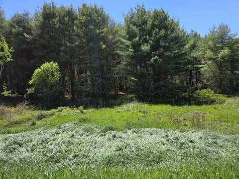 5 Goose River Estates Swanville ME 04915