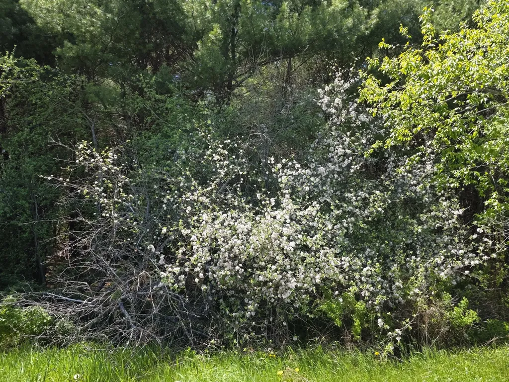 3 Goose River Estates Swanville ME 04915