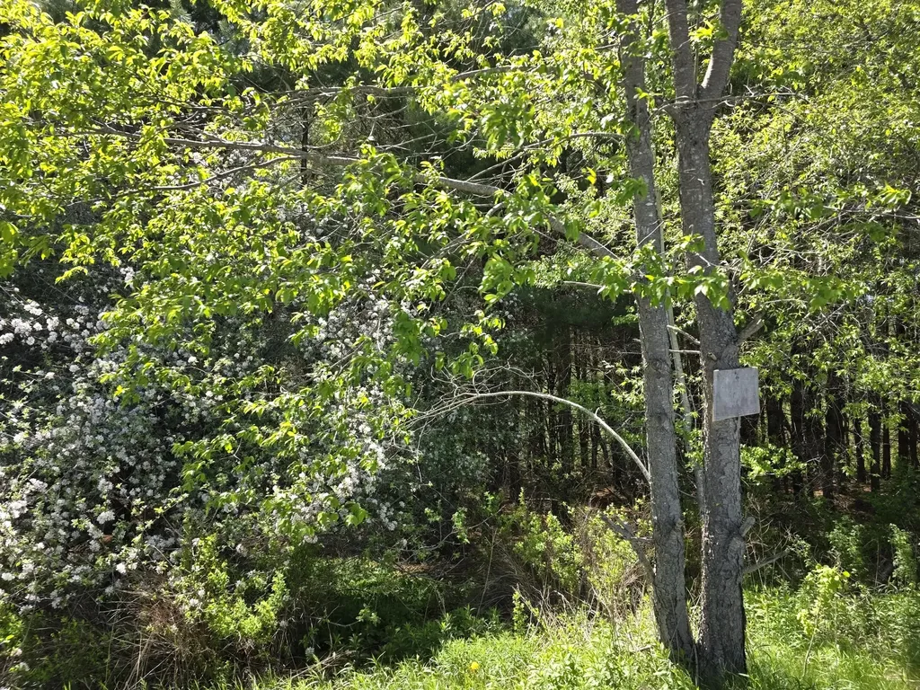 3 Goose River Estates Swanville ME 04915