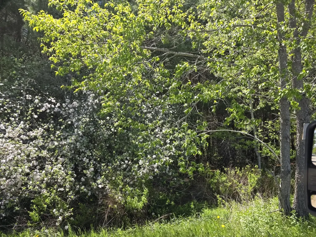 3 Goose River Estates Swanville ME 04915