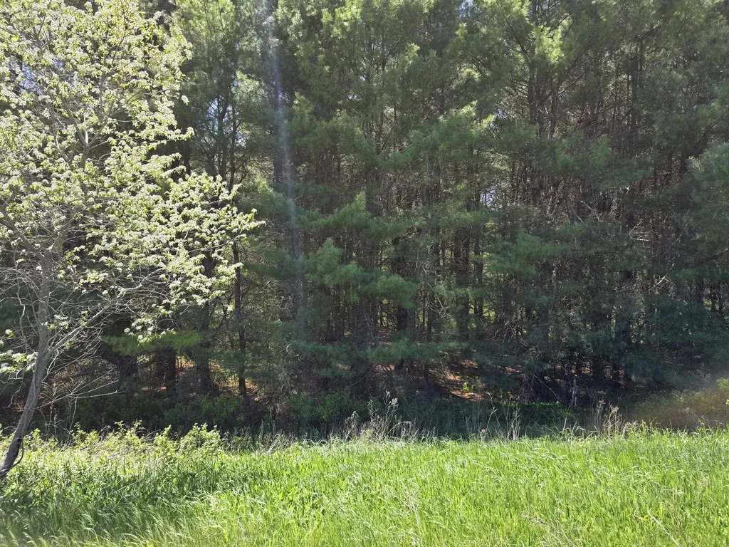 3 Goose River Estates Swanville ME 04915