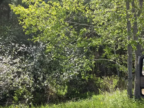 3 Goose River Estates Swanville ME 04915