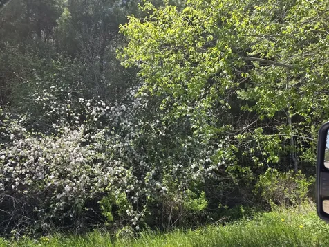 3 Goose River Estates Swanville ME 04915
