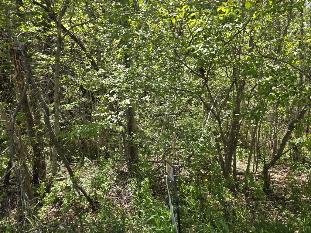 6 Goose River Estates Swanville ME 04915