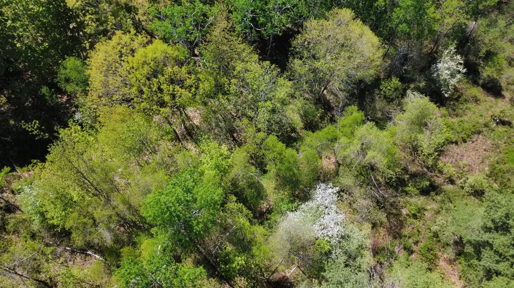 6 Goose River Estates Swanville ME 04915