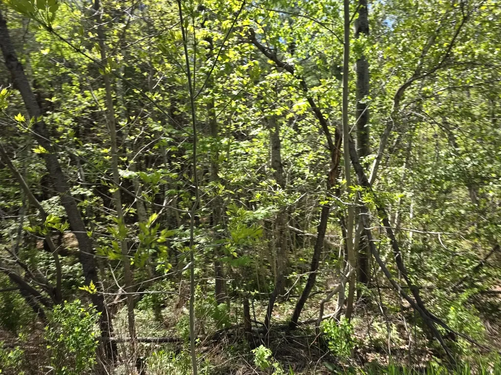 6 Goose River Estates Swanville ME 04915