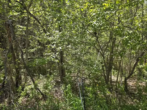 6 Goose River Estates Swanville ME 04915