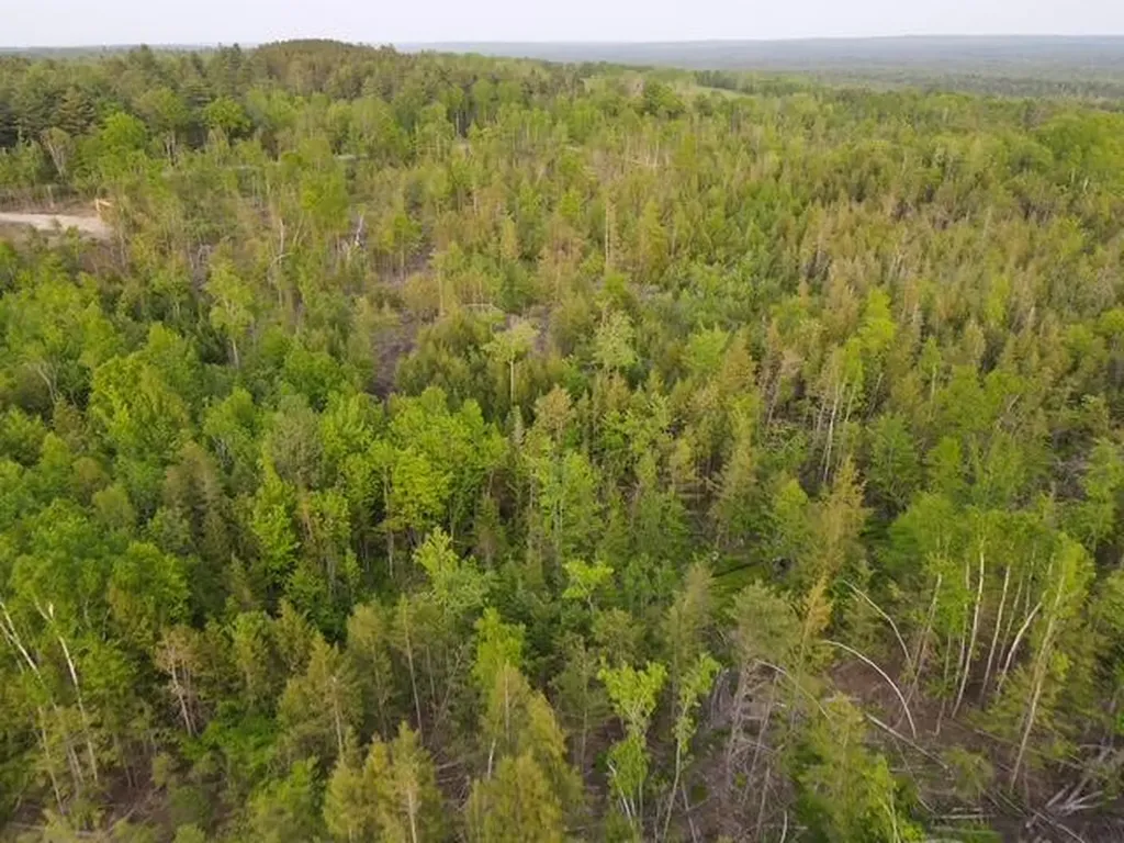 Lot 13 Parker Pond Road Sebec ME 04481
