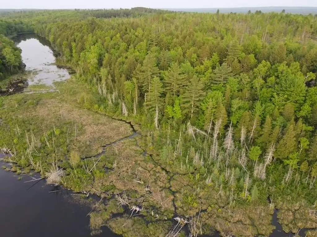 Lot 13 Parker Pond Road Sebec ME 04481