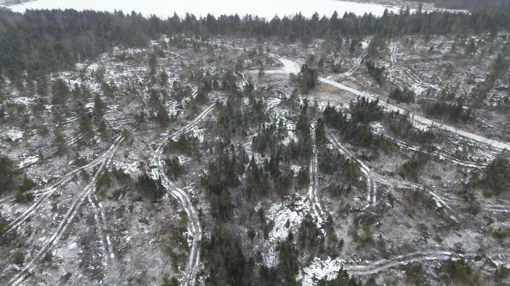 Lot 13 Parker Pond Road Sebec ME 04481