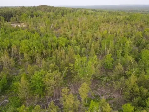 Lot 13 Parker Pond Road Sebec ME 04481