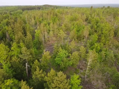 Lot 13 Parker Pond Road Sebec ME 04481