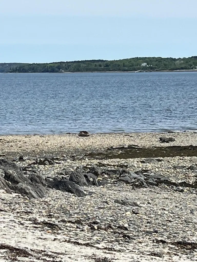 84 Stovers Point Road Harpswell ME 04079