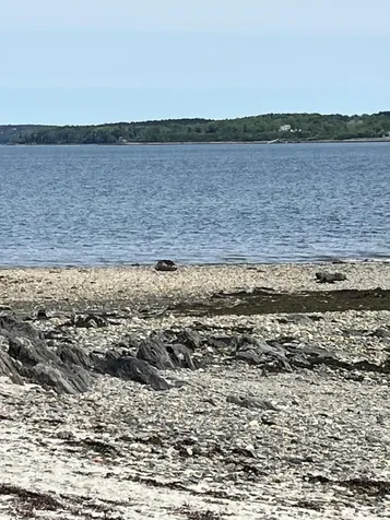 84 Stovers Point Road Harpswell ME 04079