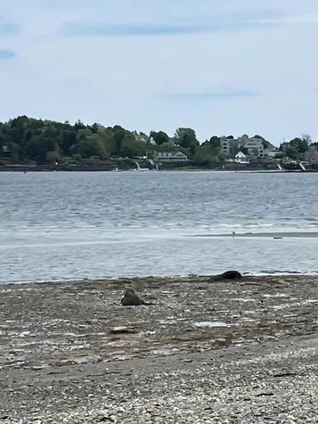 84 Stovers Point Road Harpswell ME 04079