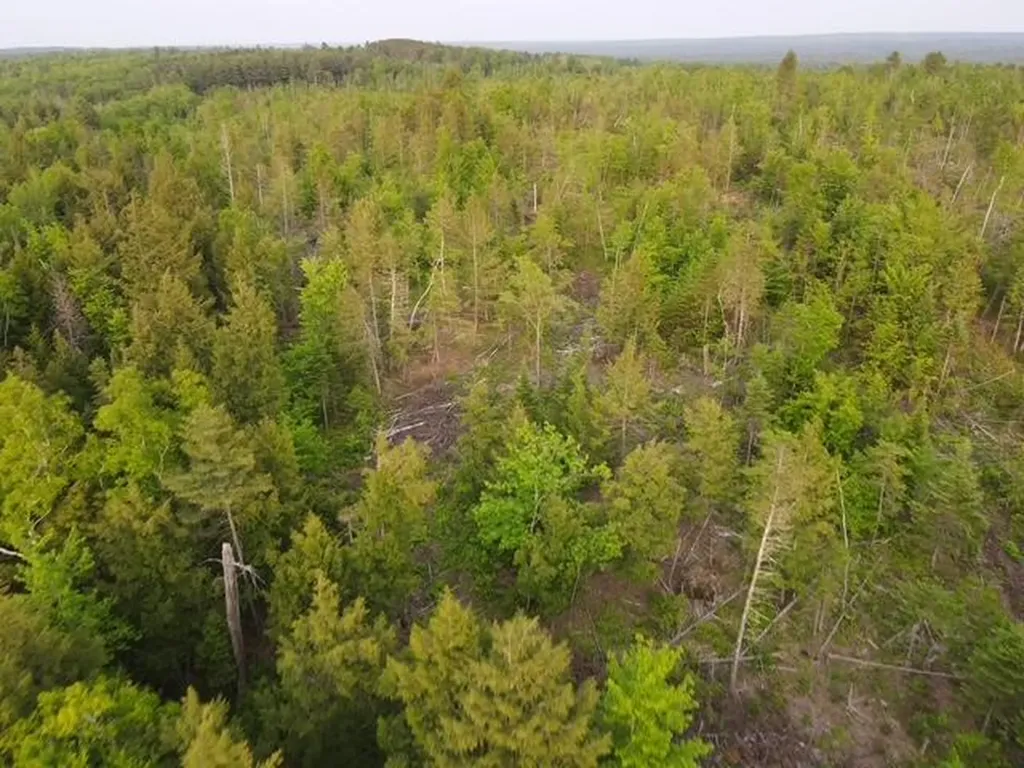 Lot 5 Sebec Village Road Sebec ME 04481