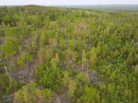 Lot 5 Sebec Village Road Sebec ME 04481